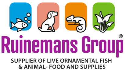 logo_ruinemans-group-org-color